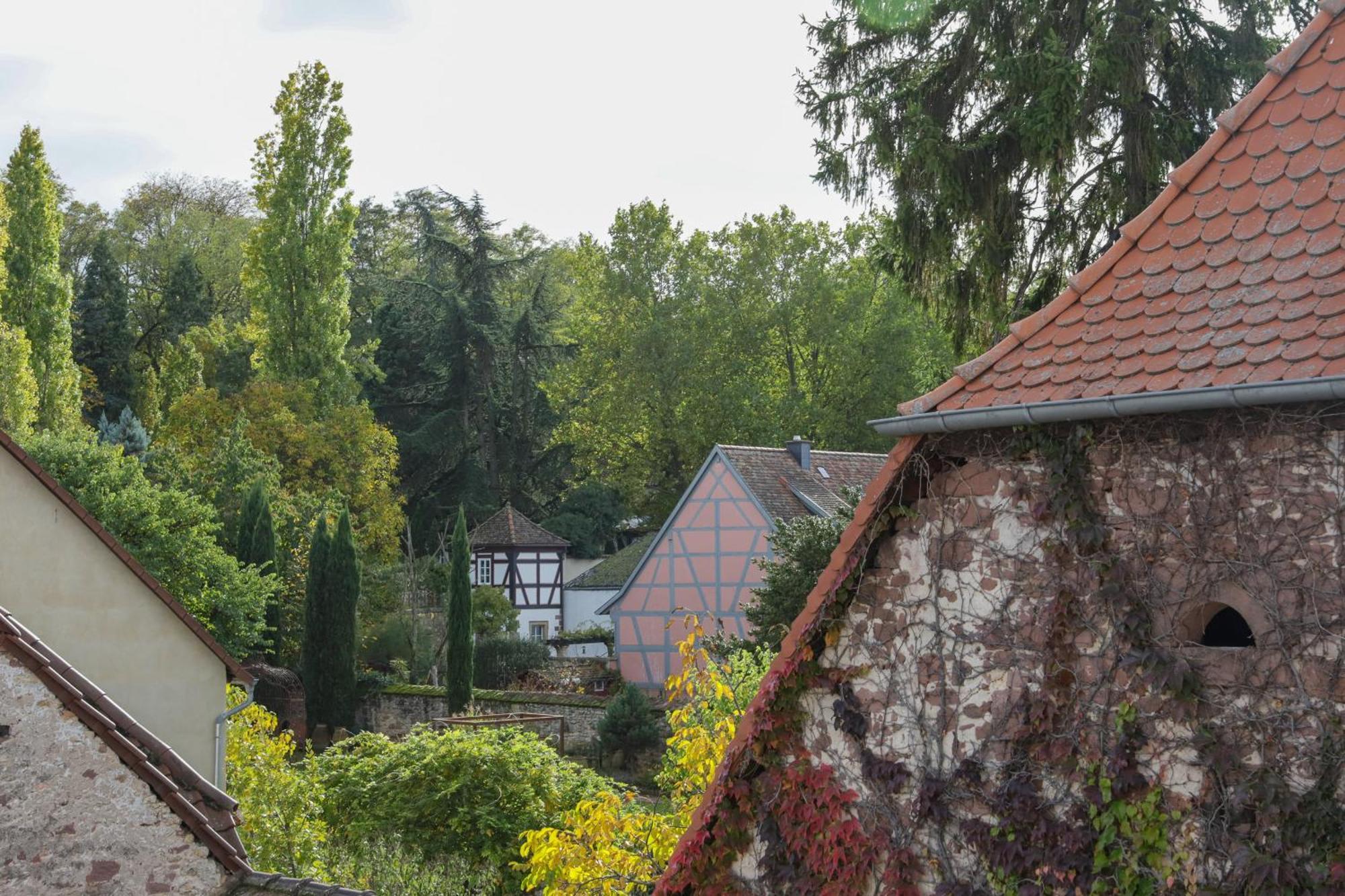 Boutique-Hotel Im Sternenhof Grosskarlbach Bagian luar foto